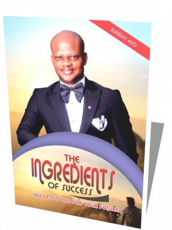 THE INGREDIENTS OF SUCCESS