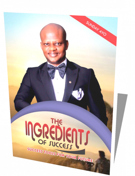 THE INGREDIENTS OF SUCCESS